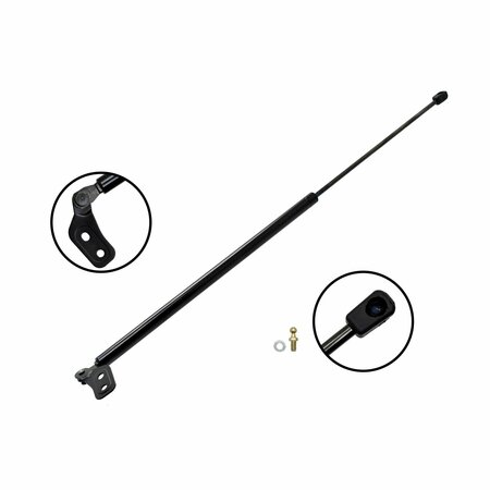 FCS STRUTS Lift Support Hatch, 86517R 86517R